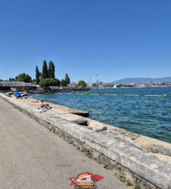🏖️ Espace de Baignade du Quai de Cologny