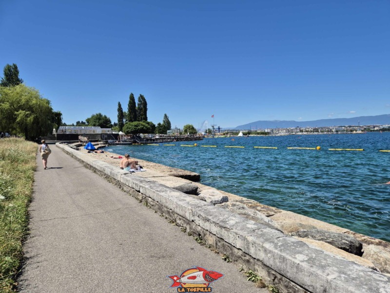 Les vues sur l'espace de baignade du quai de Cologny en direction de la ville de Genève.