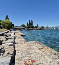 🏖️ Espace de Baignade du Quai de Cologny
