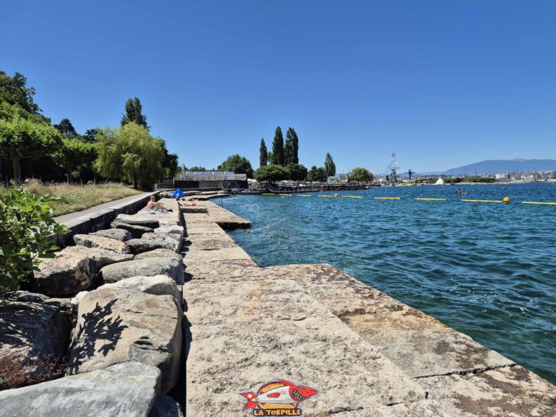Les vues sur l'espace de baignade du quai de Cologny en direction de la ville de Genève.