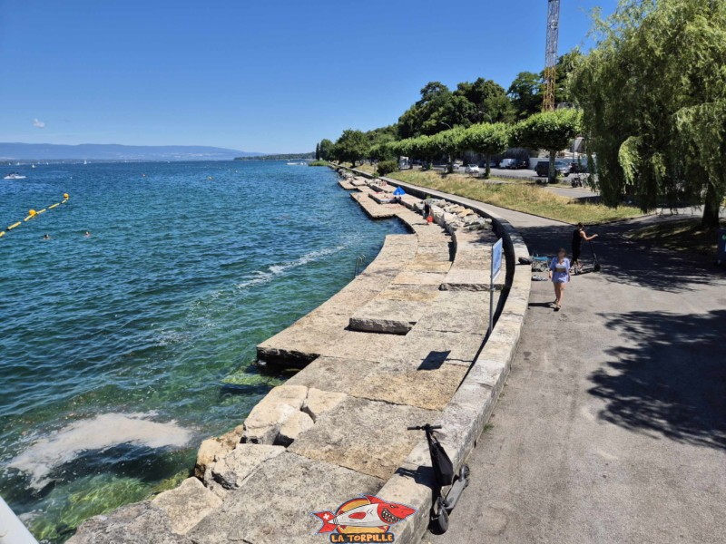 Les dalles en rocher de la zone de baignade du quai de Cologny au bord du Léman. Les dalles en rocher de la zone de baignade du quai de Cologny au bord du Léman.