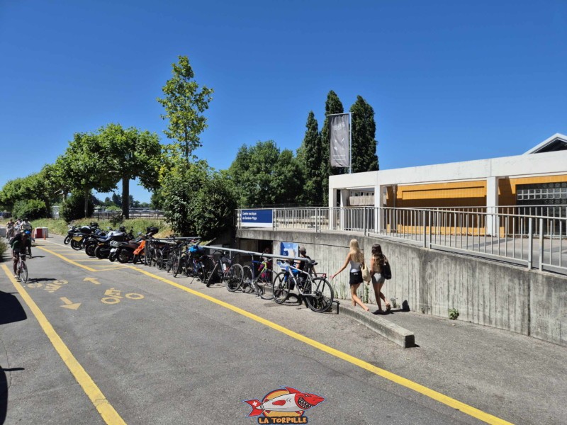 Le trottoir le long du quai de Cologny. Sur la droite, l'accès à Tropical Corner. Tropical Corner, Cologny, rive gauche rade de Genève. Le trottoir le long du quai de Cologny. Sur la droite, l'accès à Tropical Corner. Tropical Corner, Cologny, rive gauche rade de Genève.