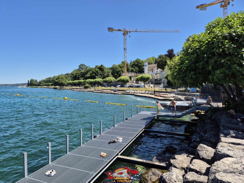 Au premier plan, la zone réservée au wakeboard depuis Tropical Corner. En arrière-plan, la zone de baignade du quai de Cologny. Au premier plan, la zone réservée au wakeboard depuis Tropical Corner. En arrière-plan, la zone de baignade du quai de Cologny.