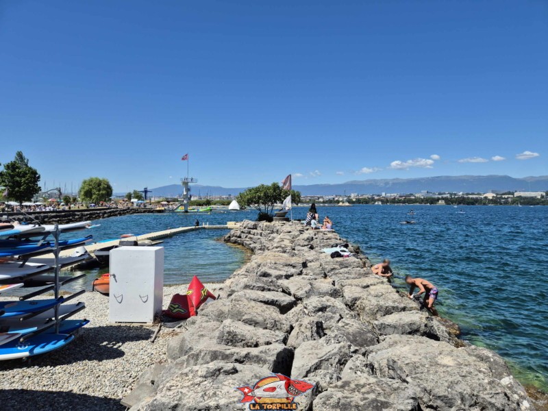 Digue Nord. Tropical Corner, Cologny, rive gauche rade de Genève.