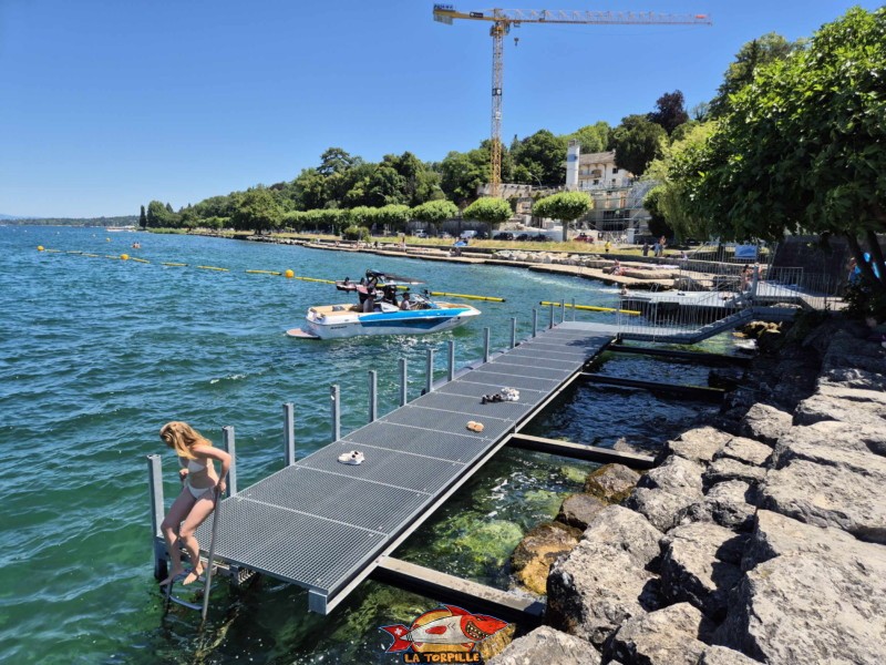 Ski Nautique. Tropical Corner, Cologny, rive gauche rade de Genève.