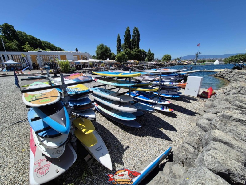 Planche à voile. Tropical Corner, Cologny, rive gauche rade de Genève.