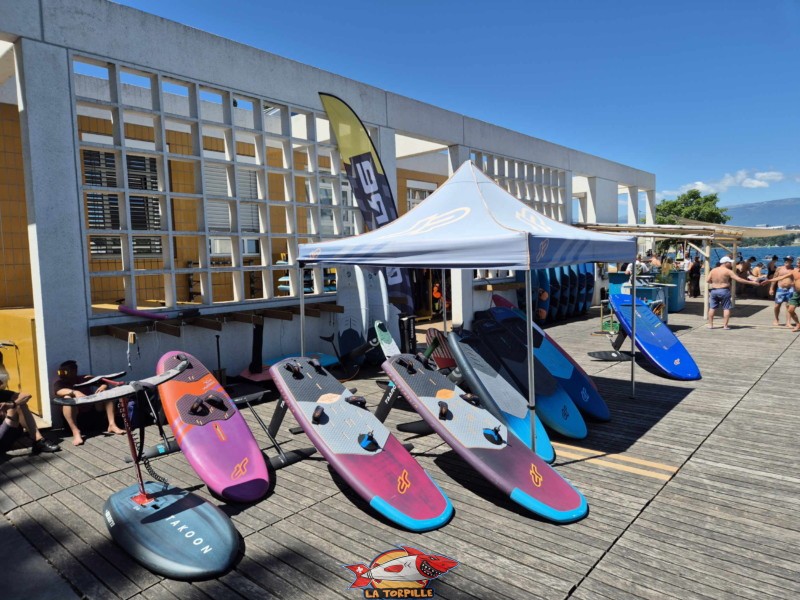 Planches foil. Tropical Corner, Cologny, rive gauche rade de Genève.