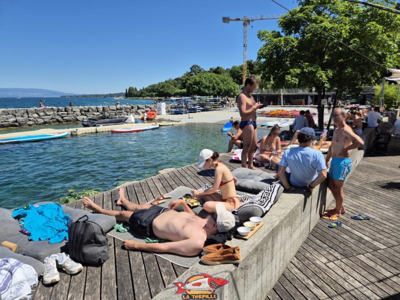 deck en bois recouvre la digue côté sud. Tropical Corner, Cologny, rive gauche rade de Genève.