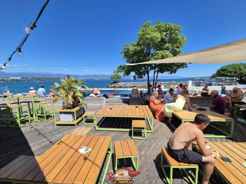 Buvette. Tropical Corner, Cologny, rive gauche rade de Genève.