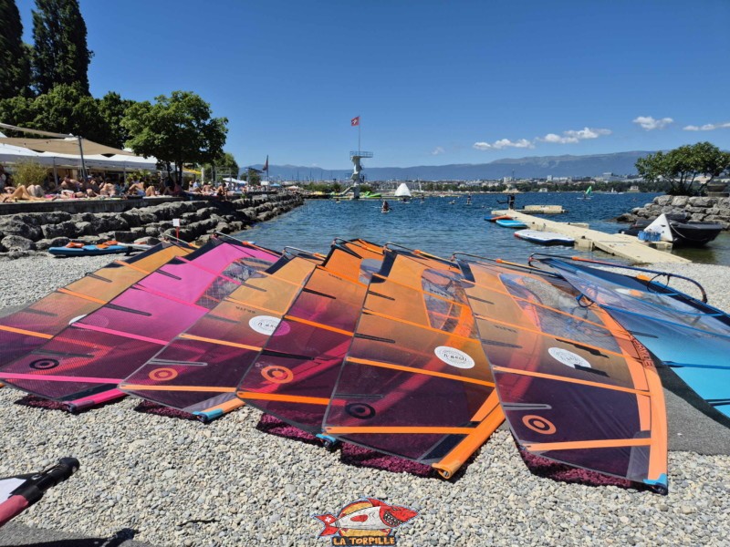 Zone Windsurf & Paddles. Tropical Corner, Cologny, rive gauche rade de Genève.