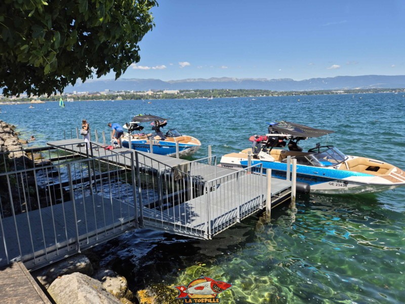 Ski Nautique. Tropical Corner, Cologny, rive gauche rade de Genève.