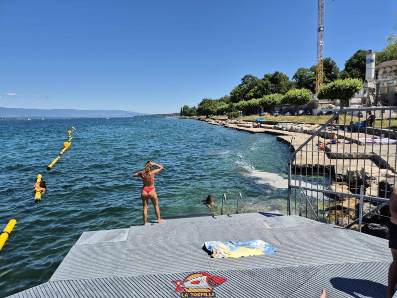 La zone de baignade, avec, sur la droite, les dalles de l'espace de baignade du quai de Cologny. Tropical Corner, Cologny, rive gauche rade de Genève. La zone de baignade, avec, sur la droite, les dalles de l'espace de baignade du quai de Cologny. Tropical Corner, Cologny, rive gauche rade de Genève.