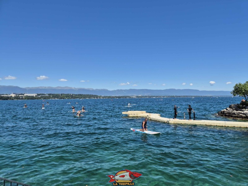 Ponton. Tropical Corner, Cologny, rive gauche rade de Genève.