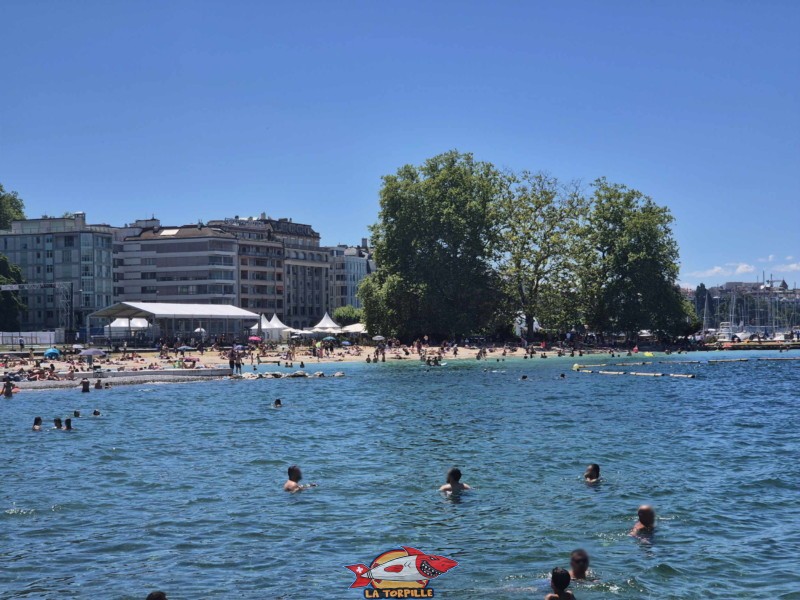Baby-Plage, le long du quai Gustave-Ador. Quartier des Eaux-Vives. Baby-Plage de loin.