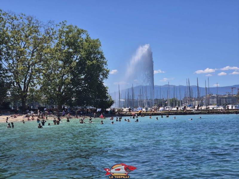 Baby-Plage, Côté Jetée CGN. Eaux-Vives. Le fameux Jet d'Eau de Genève. Baby-Plage, Côté Jetée CGN. Eaux-Vives. Le fameux Jet d'Eau de Genève.