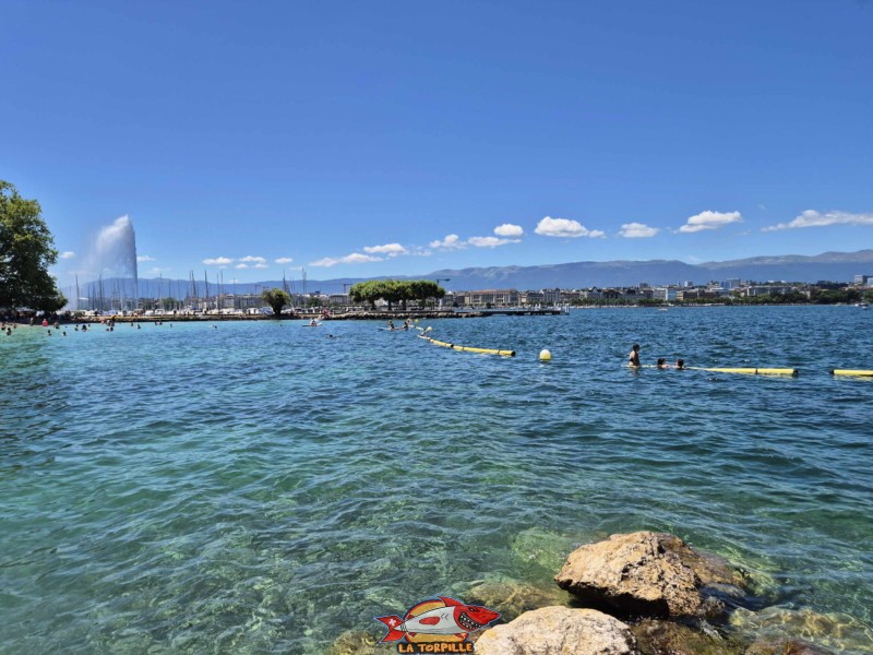 Baby-Plage, Zone de baignade, Eaux-Vives, Genève. La zone de baignade de Baby-Plage depuis la digue de séparation avec la plage des Eaux-Vives. Baby-Plage, Zone de baignade, Eaux-Vives, Genève. La zone de baignade de Baby-Plage depuis la digue de séparation avec la plage des Eaux-Vives.