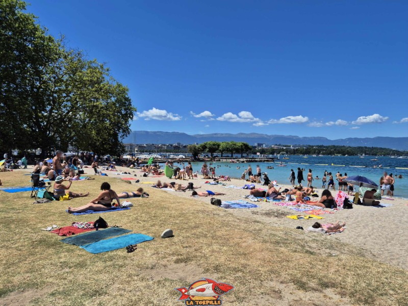 Baby-Plage, le long du quai Gustave-Ador. Quartier des Eaux-Vives.