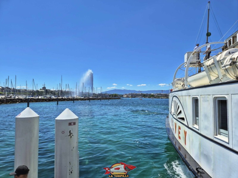Panorama, débarcadère des eaux-vives, genève. Jet d'eau.