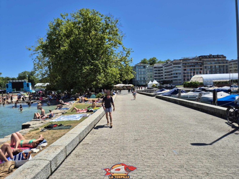 photos de la jetée depuis le débarcadère CGN des Eaux-Vives jusqu'au quai Gustave-Ador.