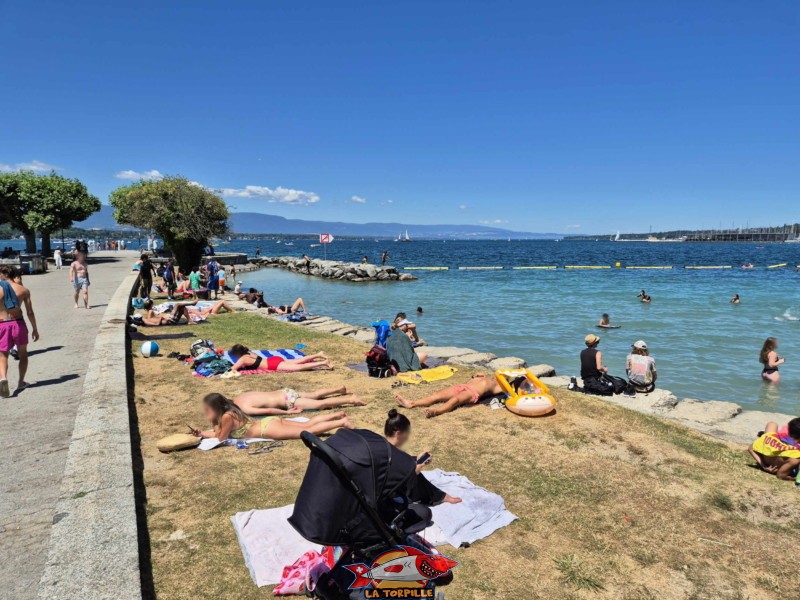 Baby-Plage, Côté Jetée CGN. Eaux-Vives