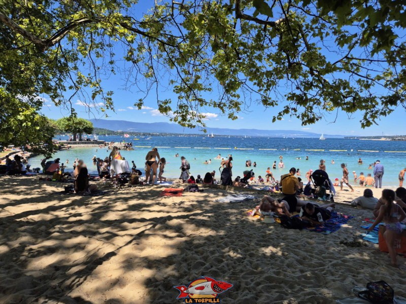 Baby-Plage au niveau de la partie ombragée de la plage. Genève, Eaux-Vives.
