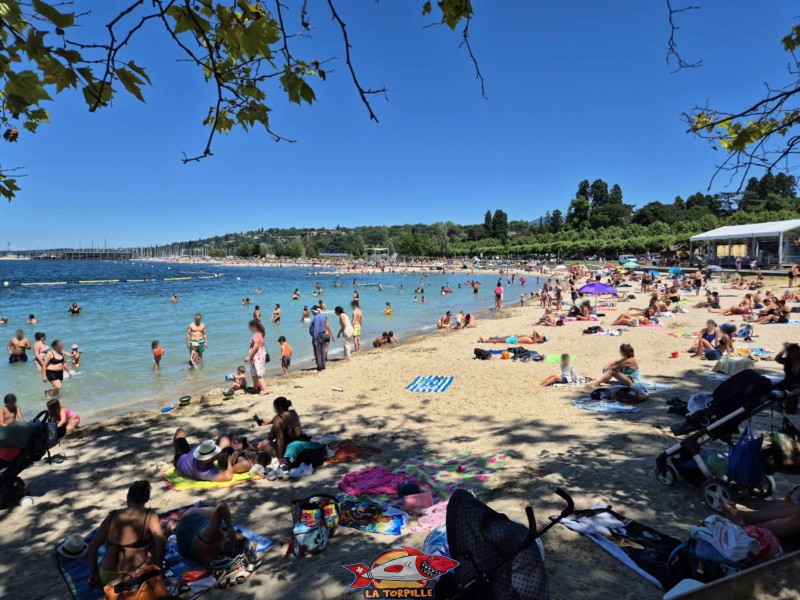 Baby-Plage au niveau de la partie ombragée de la plage. Genève, Eaux-Vives.