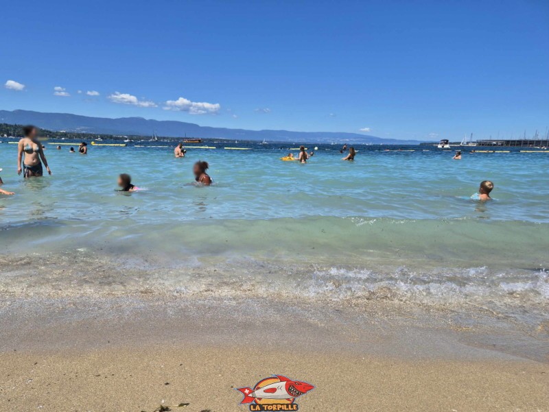 Baby-Plage, Zone de baignade, Eaux-Vives, Genève.