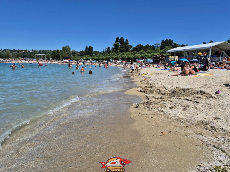 Baby-Plage, le long du quai Gustave-Ador. Quartier des Eaux-Vives.