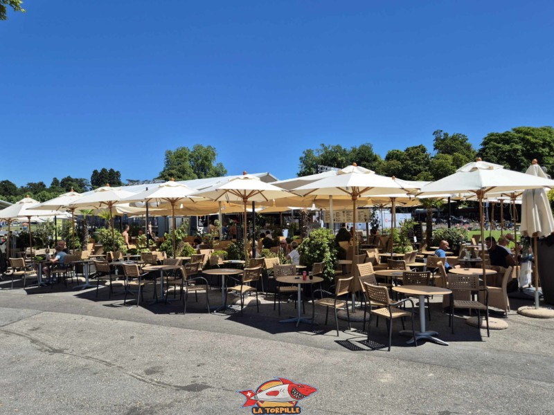 La buvette sur le quai Gustave-Ador, à l'angle de la jetée menant au débarcadère des Eaux-Vives. La buvette sur le quai Gustave-Ador, à l'angle de la jetée menant au débarcadère des Eaux-Vives.