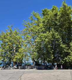 🏖️ Baby-Plage – Genève