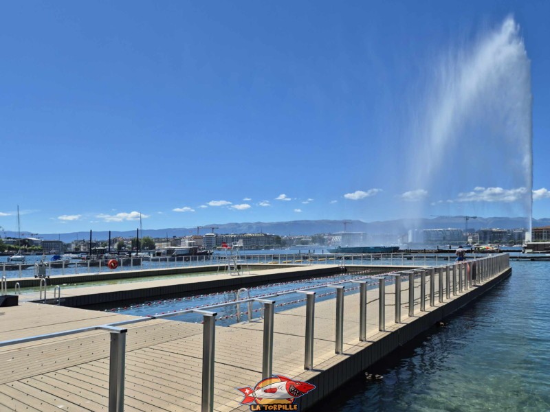 La vue sur les bains du Jet d'Eau depuis la jetée des Eaux-Vives. Rive gauche rade de Genève.