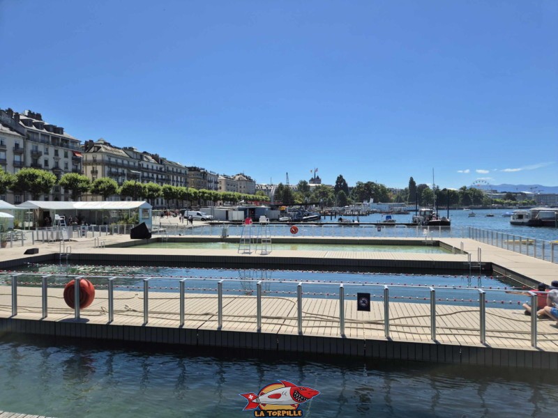 La vue sur les bains du Jet d'Eau depuis la jetée des Eaux-Vives. Rive gauche rade de Genève.