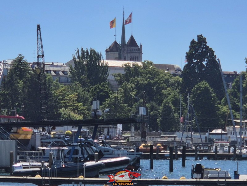 La vue sur la cathédrale St-Pierre depuis les bains du Jet d'Eau. Rive gauche rade de Genève.