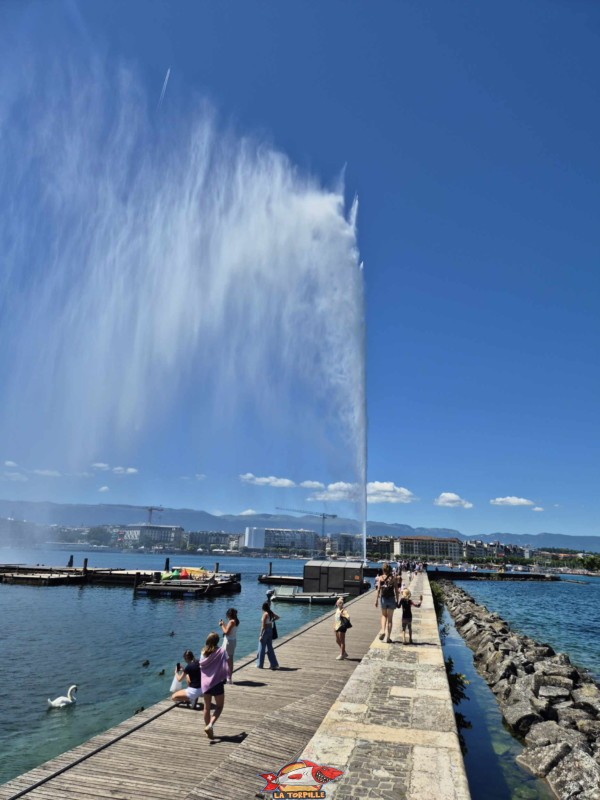 Le Jet d'Eau juste à côté des bains. Rive gauche rade de Genève.