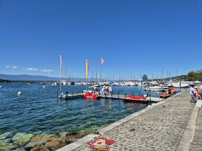 Port Miniature, Genève, Rive Gauche.