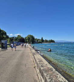 🏖️ Espace de Baignade du Quai Wilson – Genève