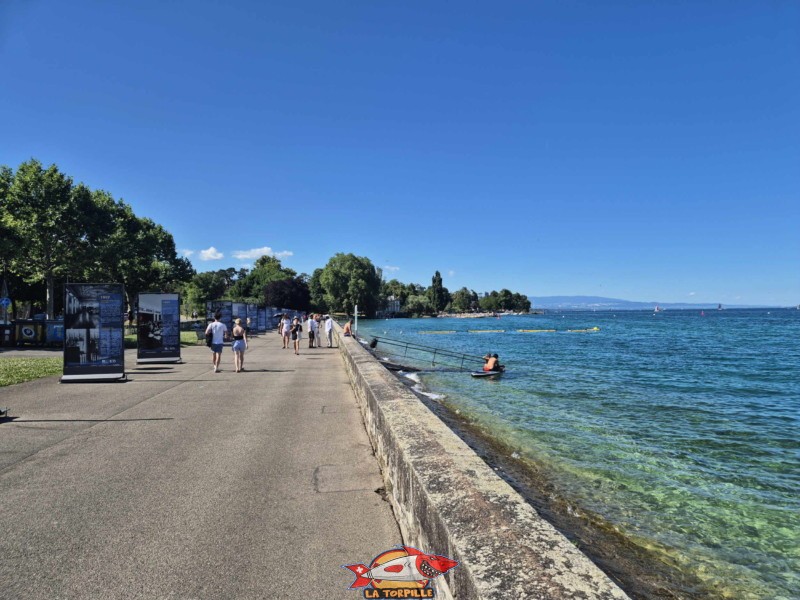 l'espace de baignade du quai Wilson en direction de Nyon. Rive droite, rade de Genève.