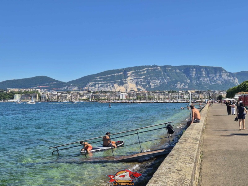 L'espace de baignade du quai Wilson. En arrière-plan, le Salève. Espace de baignade du quai Wilson, Rive droite, rade de Genève.