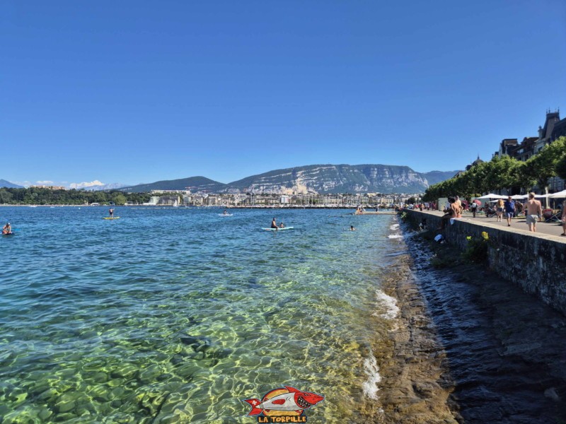 espace de baignade du quai Wilson en direction de la rade de Genève. Rive droite, rade de Genève.