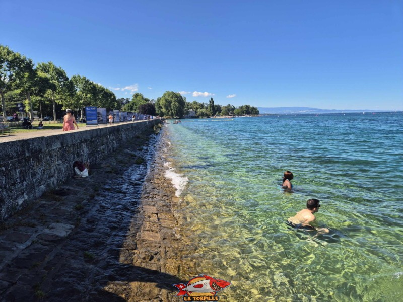 l'espace de baignade du quai Wilson en direction de Nyon. Rive droite, rade de Genève.