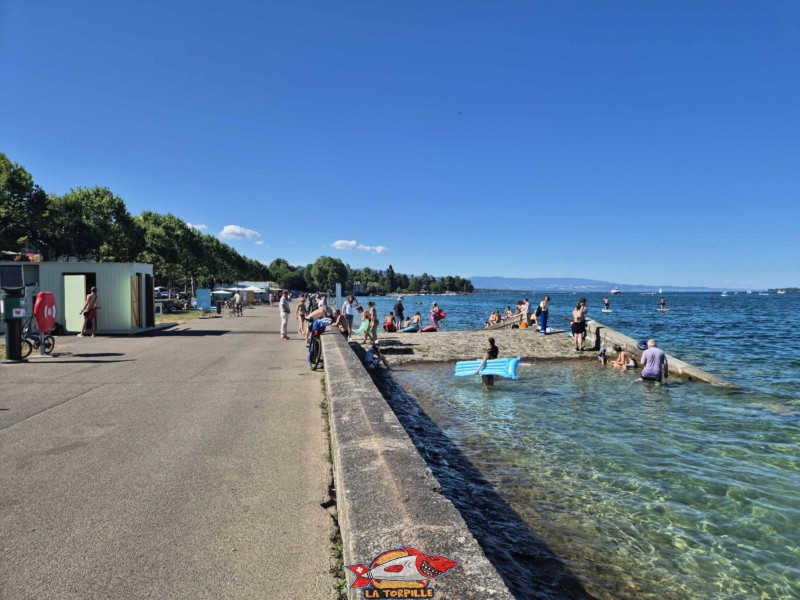 Promontoire. Espace de baignade du quai Wilson, Rive droite, rade de Genève.