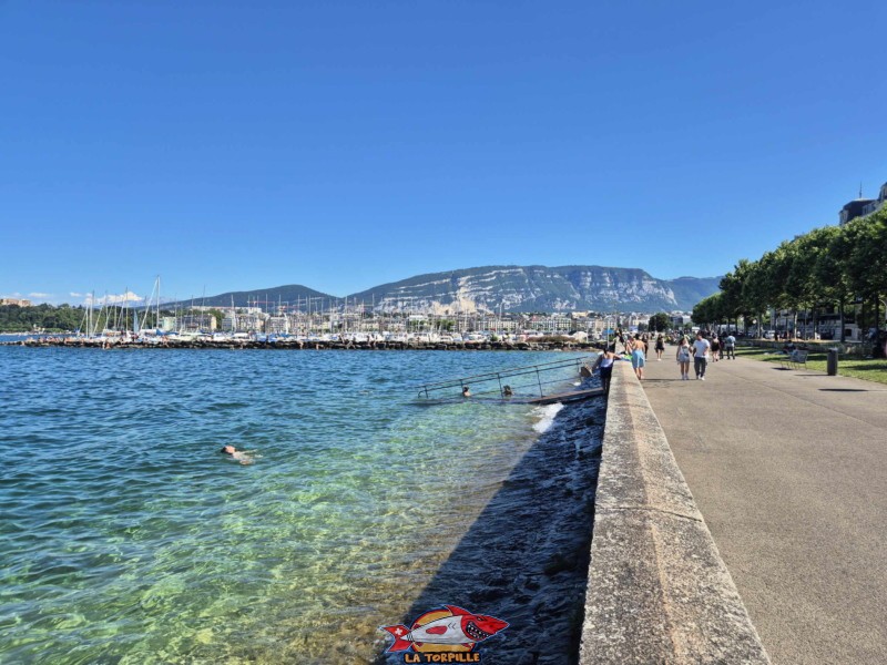 Le petit et grand Salève depuis le quai Wilson, en ville de Genève.