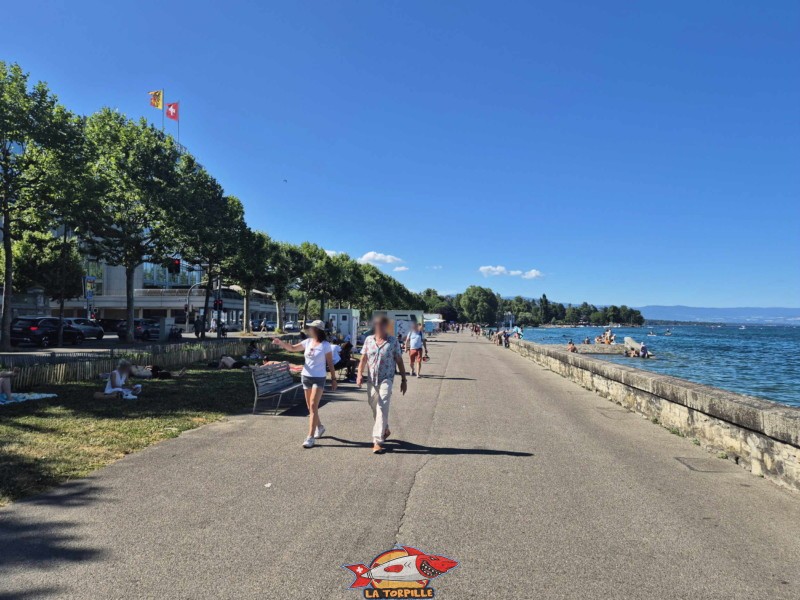 Quai Wilson. Espace de baignade du quai Wilson, Rive droite, rade de Genève.