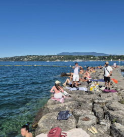 🏖️ Espace de Baignade du Quai Wilson – Genève