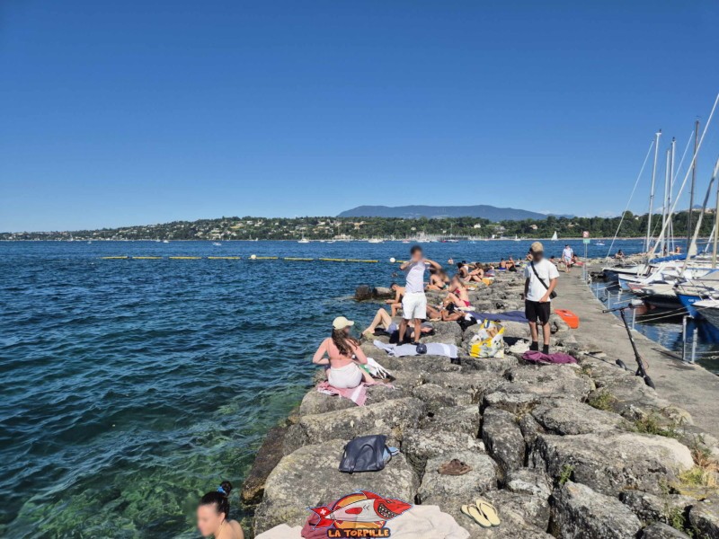 Les enrochements du port Wilson marquent la bordure sud du quai Wilson. Espace de baignade du quai Wilson, Rive droite, rade de Genève.