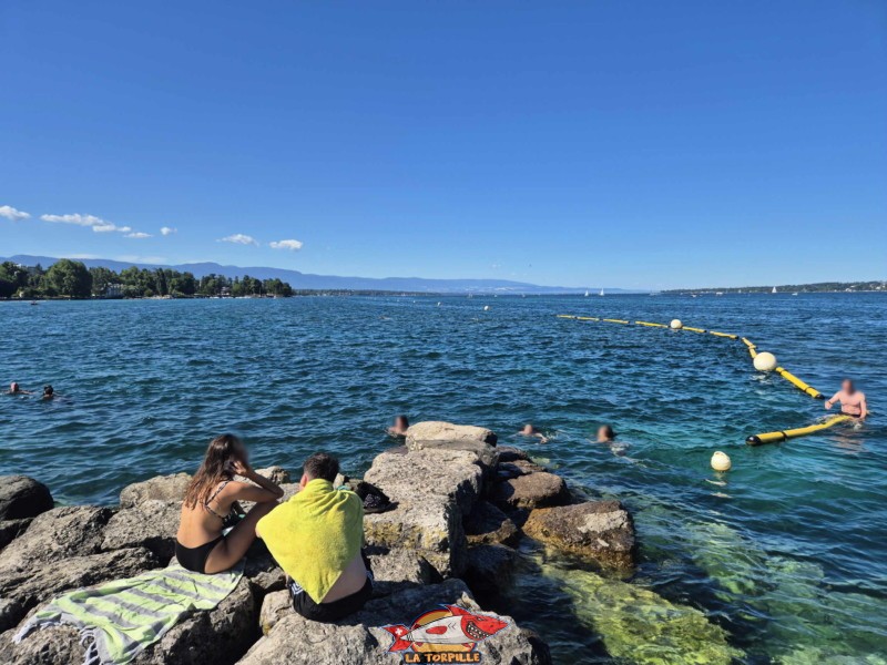 Les enrochements du port Wilson marquent la bordure sud du quai Wilson. Espace de baignade du quai Wilson, Rive droite, rade de Genève.
