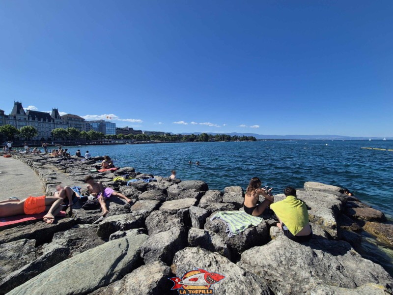 Les enrochements du port Wilson marquent la bordure sud du quai Wilson. Espace de baignade du quai Wilson, Rive droite, rade de Genève.