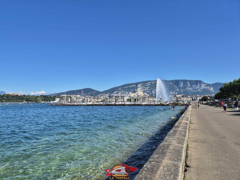 20250628 172417 baignade quai wilson e1752691193981