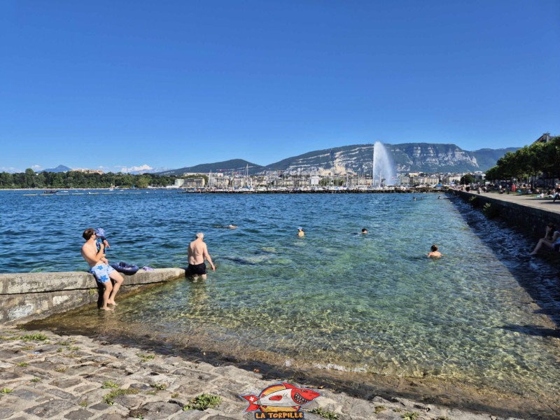 Promontoire. Espace de baignade du quai Wilson, Rive droite, rade de Genève.