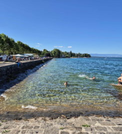 🏖️ Espace de Baignade du Quai Wilson – Genève